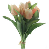 Tulp mix pastel peach 31cm - (N-1770)